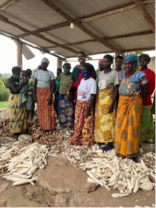 Figure: A cooperative of women are employed on a daily basis to peel cassava.