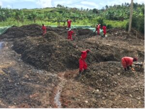 Figure: At the compost production site, men are employed to remove remaining inorganic components and to prepare and maintain the compost heaps.