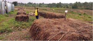 Figure: Covered compost piles at Mulungu waste processing center.