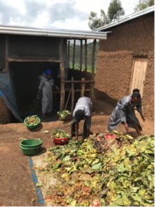 Figure: Employees bringing the organic waste collected from the market to a vegetable cutter machine. 
