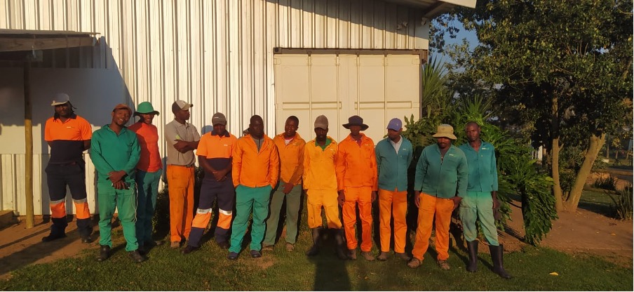 Duzi Turf employees working for the RUNRES co-composting innovation